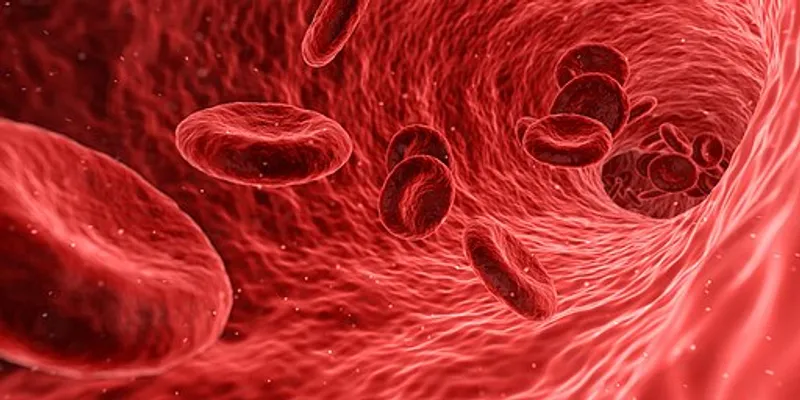 Detailed explanation of blood composition and different blood group types with their significance.