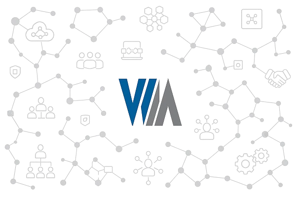 Professional Web Development Services