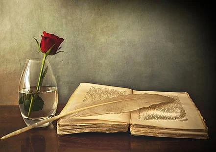 Write for us - Write guest and blog commenting for Wikimint